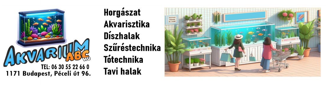 banner_1.png